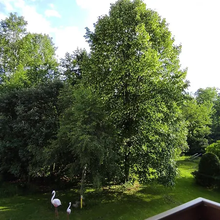 Apartament Fantazja w Zakopanem-3